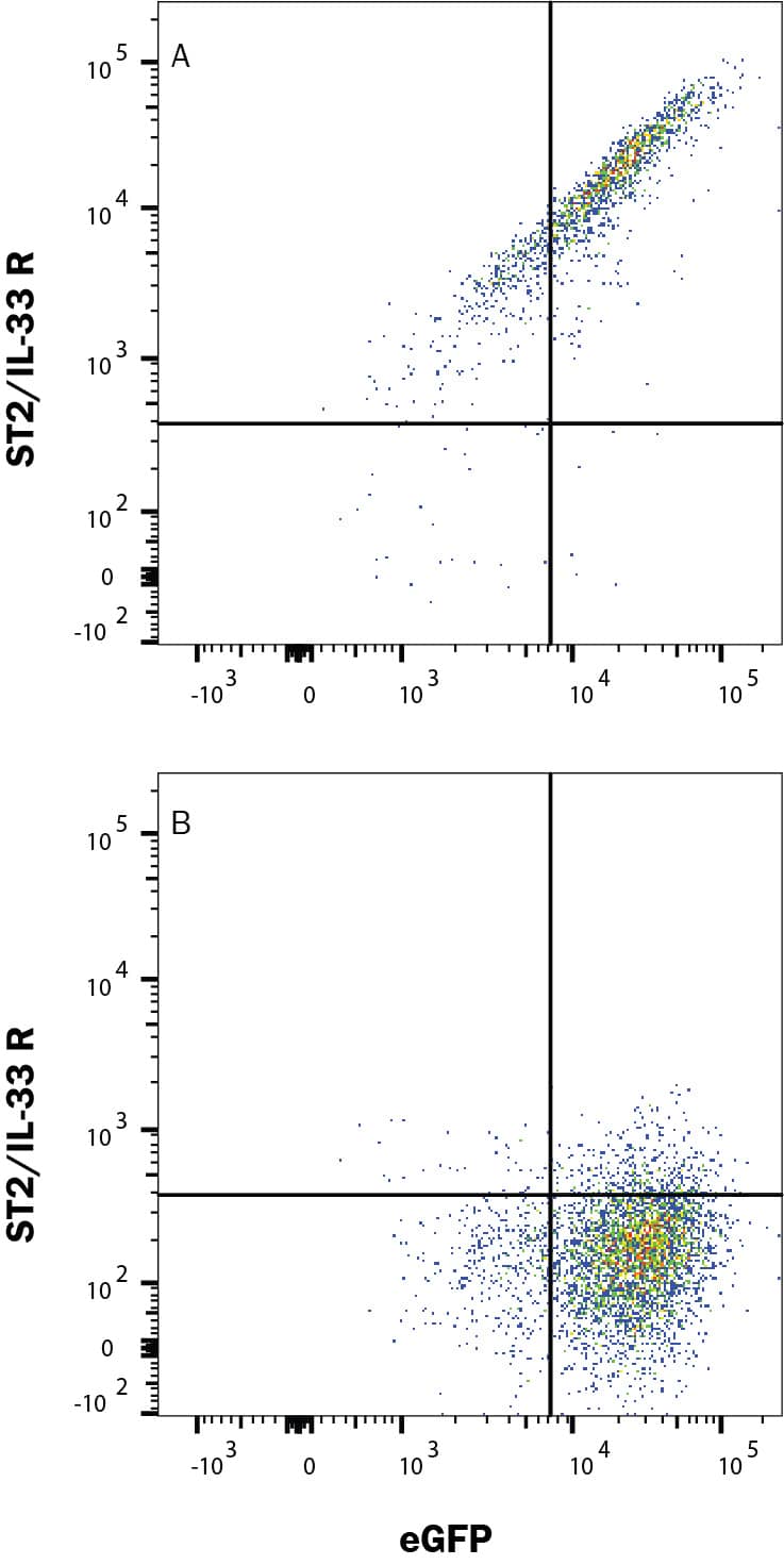 Detection of ST2/IL-33 R antibody in HEK293 Human Cell Line Transfected with Human ST2/IL-33 R and eGFP antibody by Flow Cytometry.