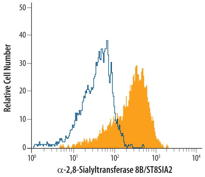 Detection of a-2,8-Sialyltransferase 8B/ST8SIA2 antibody in IMR-32 Human Cell Line antibody by Flow Cytometry.
