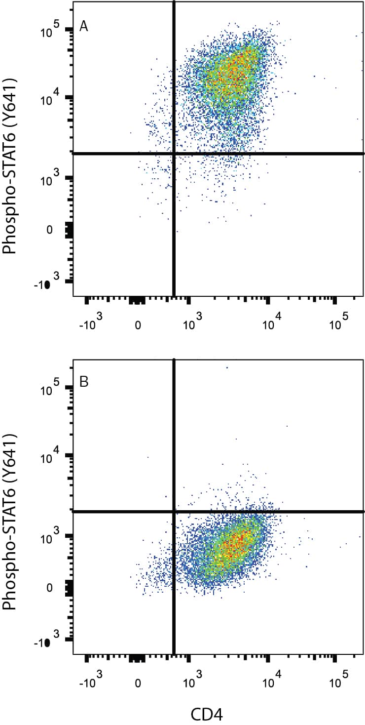 Detection of STAT6 antibody in Human peripheral blood mononuclear cells (PBMCs) antibody by Flow Cytometry.