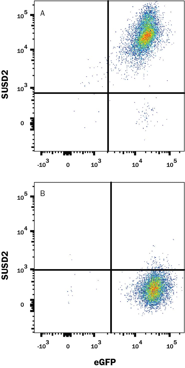 Detection of SUSD2 antibody in HEK293 Human Cell Line Transfected with Human SUSD2 and eGFP antibody by Flow Cytometry.