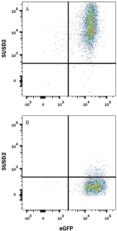 Detection of SUSD2 antibody in HEK293 Human Cell Line Transfected with Human SUSD2 and eGFP antibody by Flow Cytometry.