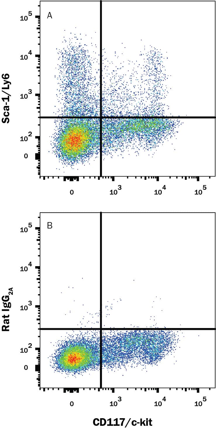 Detection of Sca-1/Ly6 antibody in Mouse Splenocytes antibody by Flow Cytometry.