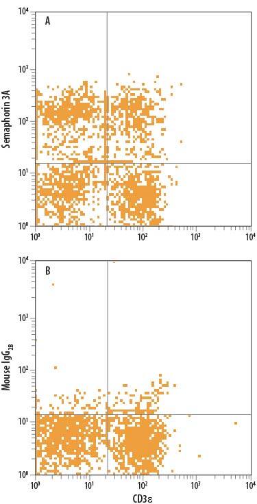 Detection of Semaphorin 3A antibody in Mouse Splenocytes antibody by Flow Cytometry.