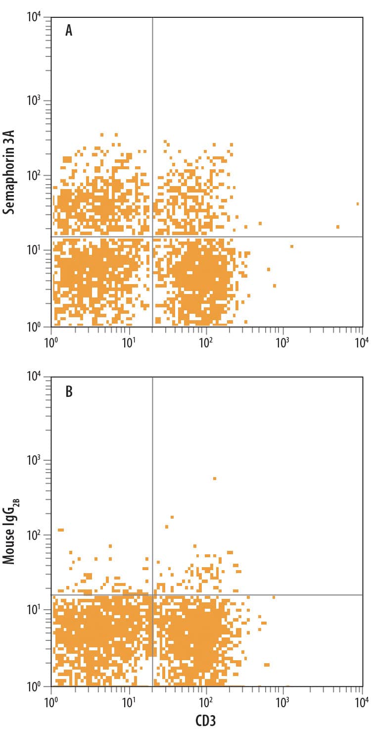 Detection of Semaphorin 3A antibody in Mouse Splenocytes antibody by Flow Cytometry.