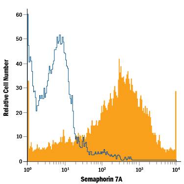 Detection of Semaphorin 7A antibody in Human PBMCs antibody by Flow Cytometry.