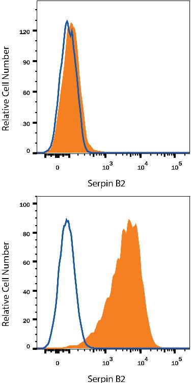 Detection of Serpin B2 antibody in U937 Human Cell Line antibody by Flow Cytometry.