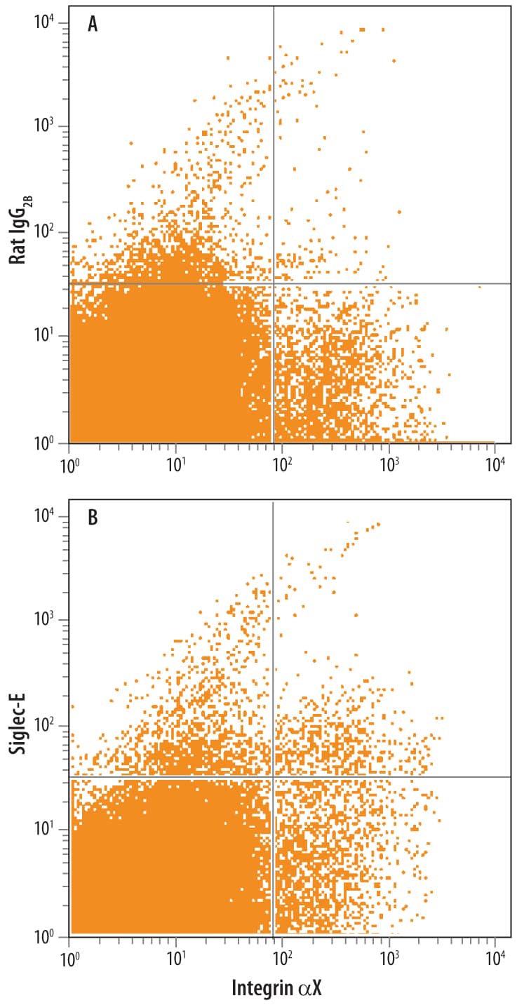 Detection of Mouse Siglec-E antibody in Mouse Splenocytes.