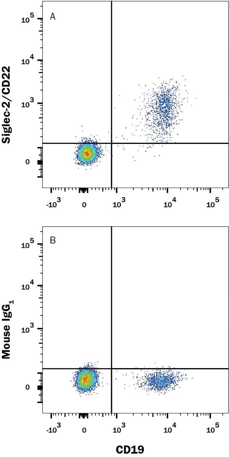 Detection of Siglec-2/CD22 antibody in Human PBMCs antibody by Flow Cytometry.