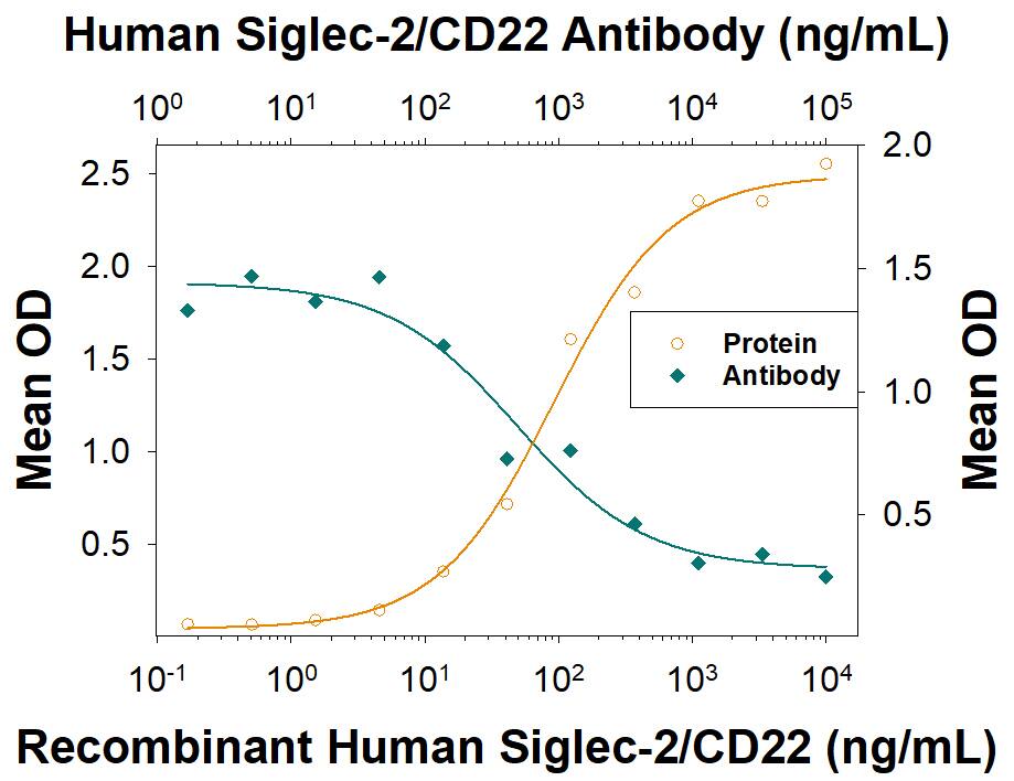 Cell Adhesion Mediated by Siglec-2/CD22 and Neutral­ization by Human Siglec-2/CD22 Antibody.