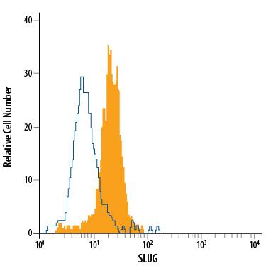 Detection of Slug antibody in HeLa Human Cell Line antibody by Flow Cytometry.