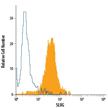 Detection of Slug antibody in HeLa Human Cell Line antibody by Flow Cytometry.