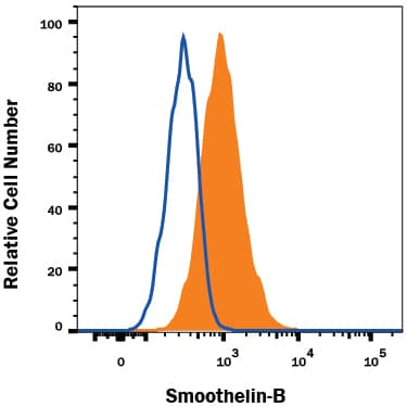 Detection of Smoothelin antibody in HASMC Human Cells antibody by Flow Cytometry.