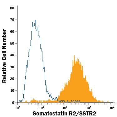 Detection of Somatostatin R2/SSTR2 antibody in HEK293 Human Cell Line Transfected with Somatostatin R2/SSTR2 and eGFP antibody by Flow Cytometry.