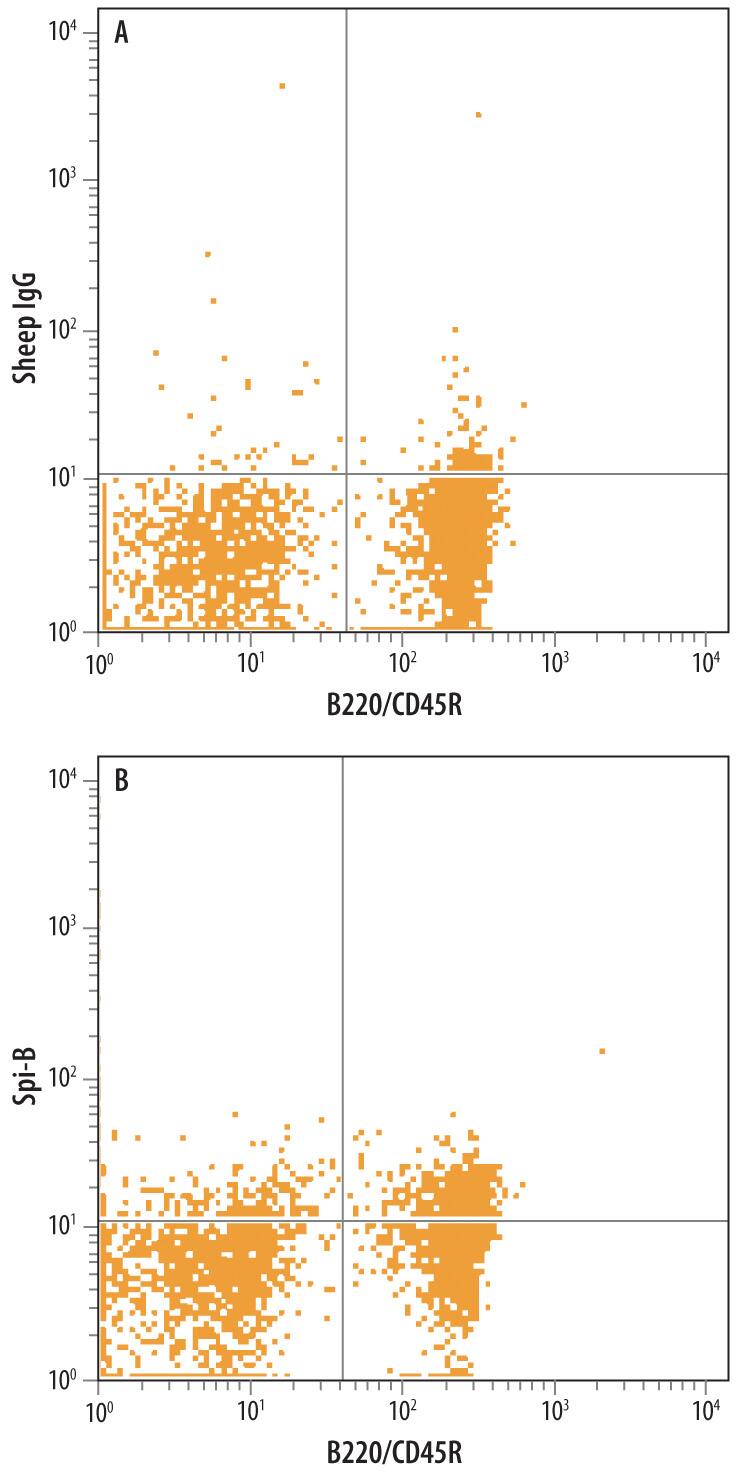 Detection of SPi-B antibody in Mouse Splenocytes antibody by Flow Cytometry.