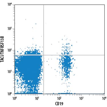 Detection of TACI/TNFRSF13B antibody in Human Blood Lymphocytes antibody by Flow Cytometry.