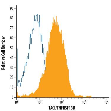 Detection of TACI/TNFRSF13B antibody in Raji Human Cell Line antibody by Flow Cytometry.