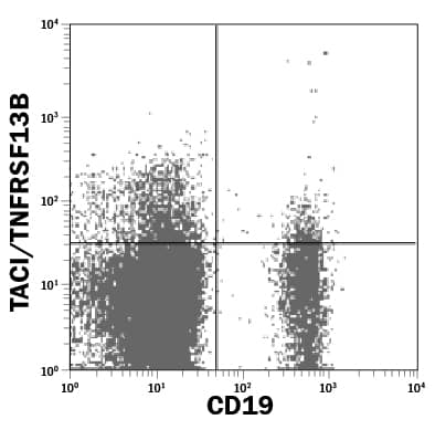 Detection of TACI/TNFRSF13B antibody in Human Peripheral Blood Lymphocytes antibody by Flow Cytometry.