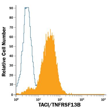 Detection of TACI/TNFRSF13B antibody in Raji Human Cell Line antibody by Flow Cytometry.