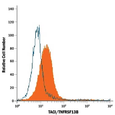 Detection of TACI/TNFRSF13B antibody in Raji Human Cell Line antibody by Flow Cytometry.