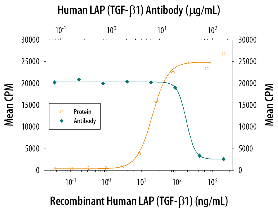 LAP TGF‑ beta1 Inhibition of TGF‑ beta1 Activity and Neutralization by Human LAP TGF‑ beta1 Antibody.