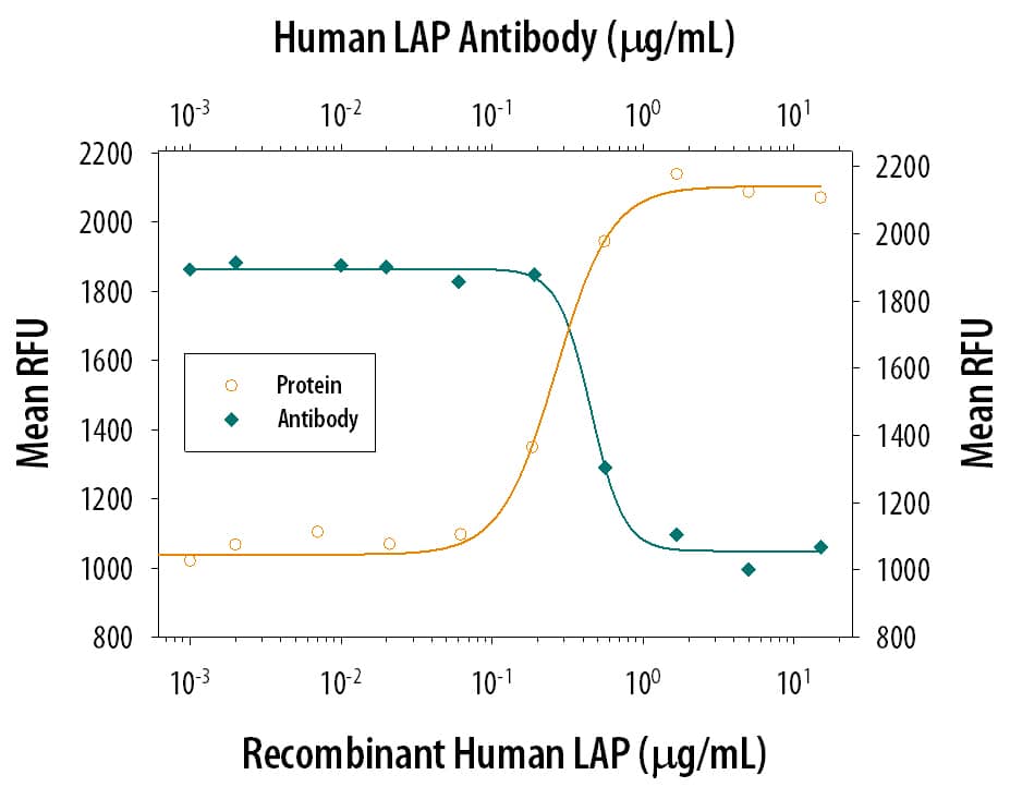 LAP TGF‑ beta1 Inhibition of TGF‑ beta1 Activity and Neutralization by Human LAP TGF‑ beta1 Antibody.