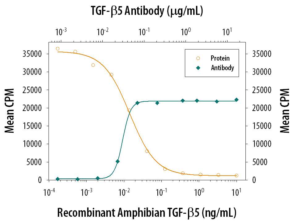 TGF‑ beta5 Inhibition of IL‑4-dependent Cell Proliferation and Neutralization by TGF‑ beta5 Antibody.