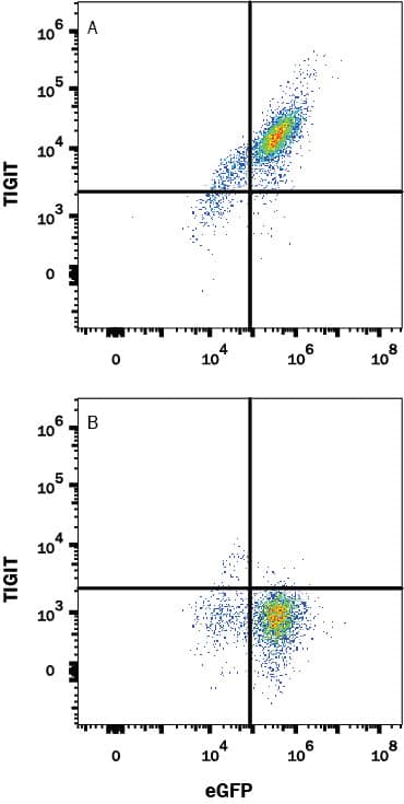 Detection of TIGIT antibody in HEK293 Human Cell Line Transfected with Human TIGIT and eGFP antibody by Flow Cytometry.