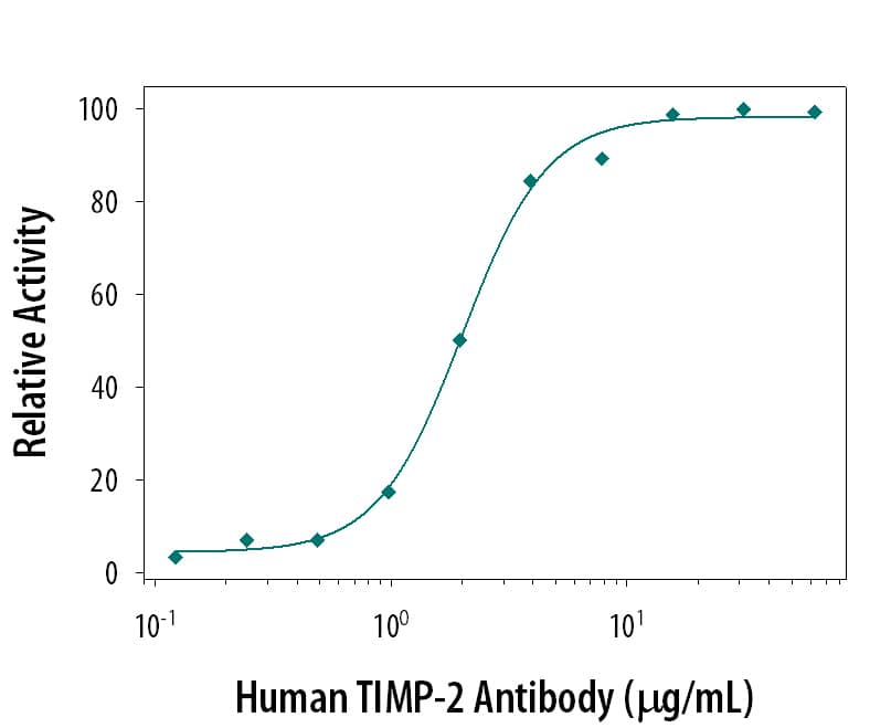 Neutralization of TIMP‑2 Activity by Human TIMP‑2 Antibody.