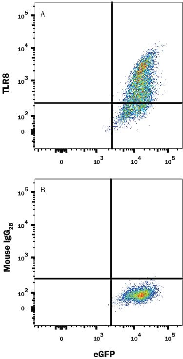 Detection of TLR8 antibody in HEK293 Human Cell Line Transfected with Human TLR8 and eGFP antibody by Flow Cytometry.