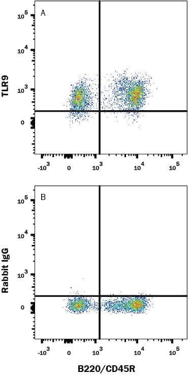 Detection of TLR9 antibody in Mouse Splenocytes antibody by Flow Cytometry.