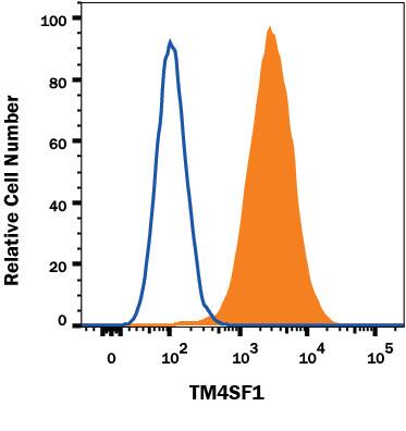 Detection of TM4SF1/L6 antibody in A549 Human Cell Line antibody by Flow Cytometry