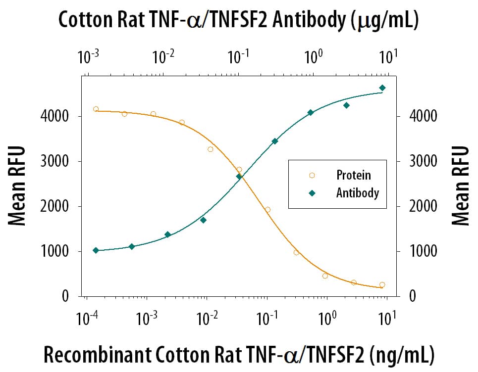 Cytotoxicity Induced by TNF‑ alpha and Neutralization by Cotton Rat TNF‑ alpha Antibody.