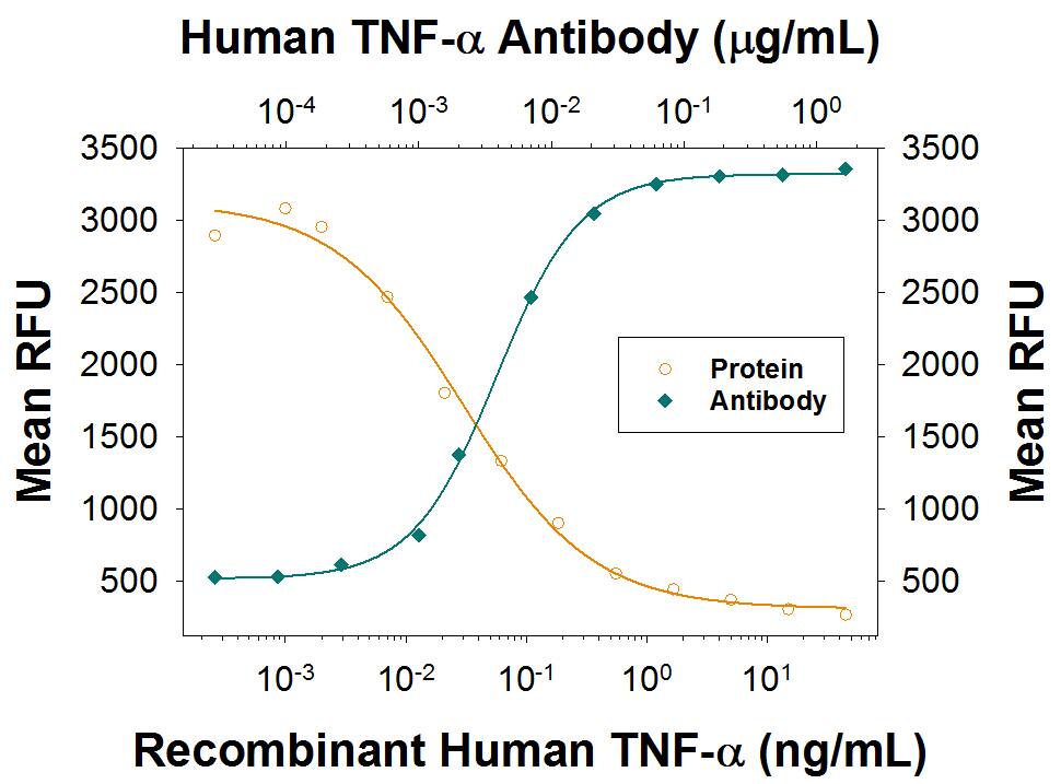 Cytotoxicity Induced by TNF-alpha  and Neutralization by Human TNF-alpha  Antibody.
