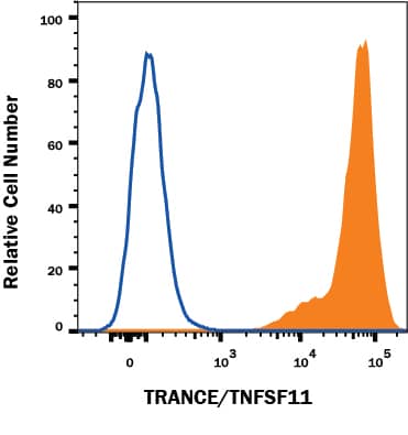Detection of TRANCE/TNFSF11/RANK L antibody in HEK293 human cell line transfected with human TRANCE antibody by Flow Cytometry.