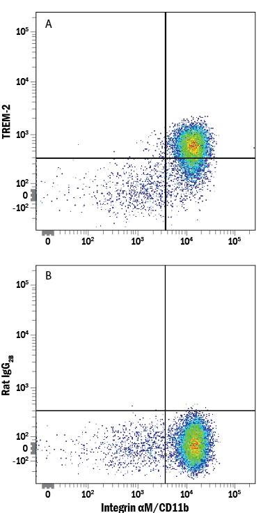Detection of TREM-2 antibody in Human PBMCs antibody by Flow Cytometry.