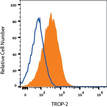 Detection of TROP-2 antibody in mIMCD-3 Mouse Epithelial Cell Line antibody by Flow Cytometry.