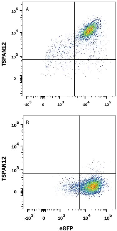 Detection of TSPAN12 antibody in HEK293 Human Cell Line Transfected with Human TSPAN12 and eGFP antibody by Flow Cytometry.