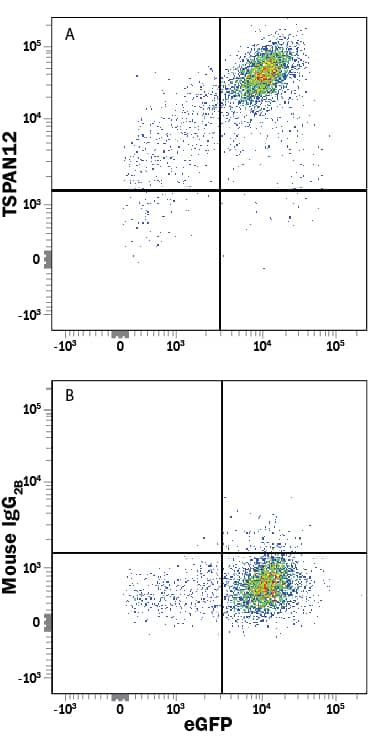 Detection of TSPAN12 antibody in HEK293 Human Cell Line Transfected with Human TSPAN12 and eGFP antibody by Flow Cytometry.