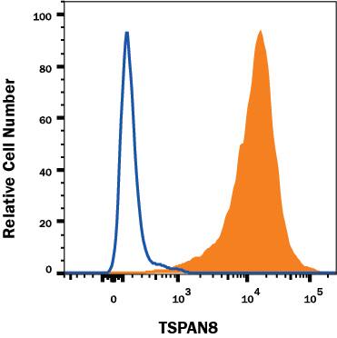 Detection of TSPAN8 antibody in HT-29 Human Cell Line antibody by Flow Cytometry.