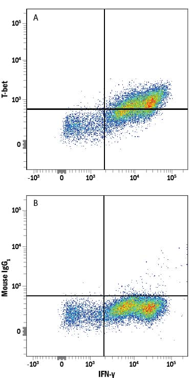 Detection of T‑bet/TBX21 in CD4<SUP>+</SUP>Human PBMCs Stimulated to Induce Th1 Cells by Flow Cytometry. Detection of T-bet/TBX21 antibody in CD4+Human PBMCs Stimulated to Induce Th1 Cells antibody by Flow Cytometry.