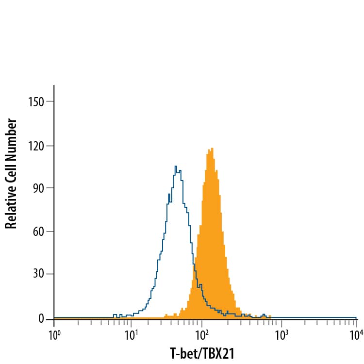 Detection of T-bet/TBX21 antibody in Jurkat Human Cell Line antibody by Flow Cytometry.