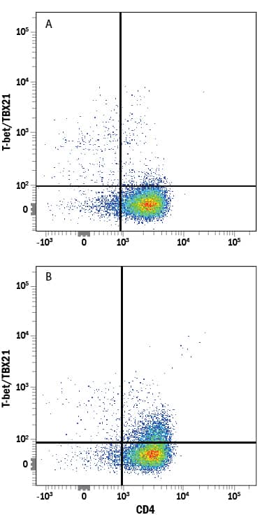 Detection of T-bet/TBX21 antibody in Human PBMCs Stimulated to Induce Th1 Cells antibody by Flow Cytometry.