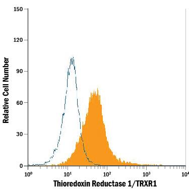 Detection of Thioredoxin Reductase 1/TRXR1 antibody in HeLa Human Cell Line antibody by Flow Cytometry.