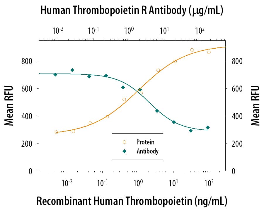 Cell Proliferation Induced by Thrombopoietin/Tpo and Neutralization by Human Thrombopoietin R/Tpo R Antibody.