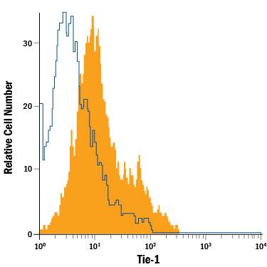 Detection of Tie-1 antibody in Human Umbilical Vein Endothelial Cells (HUVEC) antibody by Flow Cytometry.