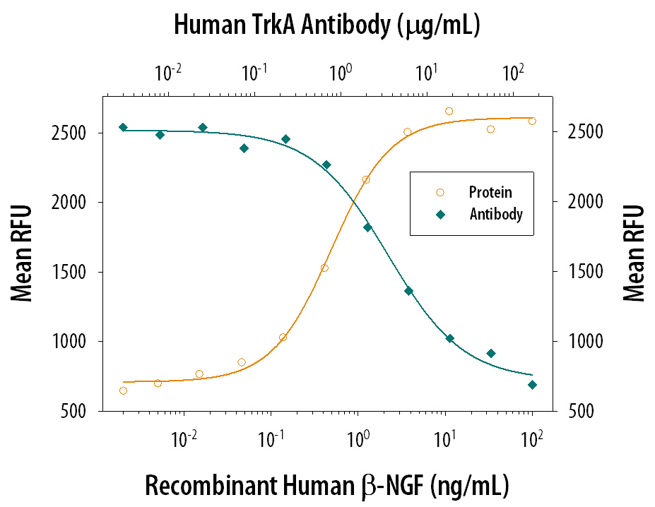 Cell Proliferation Induced by  beta-NGF and Neutralization by Human TrkA Antibody.