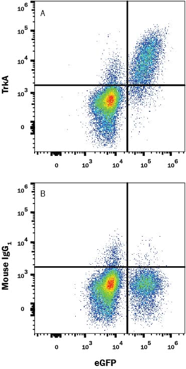 Detection of TrkA antibody in BAF Cell Line Transfected with Human TrkA and eGFP antibody by Flow Cytometry.