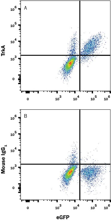 Detection of TrkA antibody in BAF Cell Line Transfected with Human TrkA and eGFP antibody by Flow Cytometry.