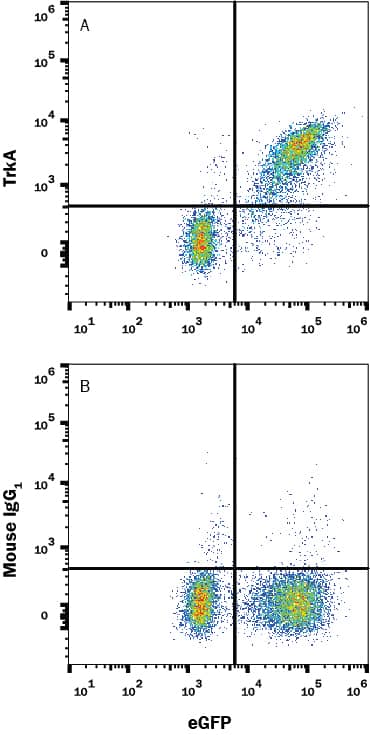 Detection of TrkA antibody in BAF Cell Line Transfected with Human TrkA and eGFP antibody by Flow Cytometry.