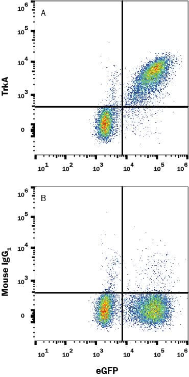 Detection of TrkA antibody in HEK293 Human Cell Line Transfected with Human TrkA and eGFP antibody by Flow Cytometry.